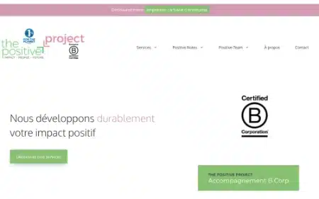 the positive project
